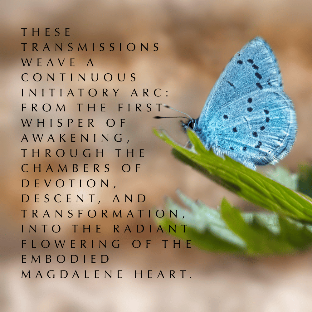 Magdalene Rose Oracle Audio - Image 2